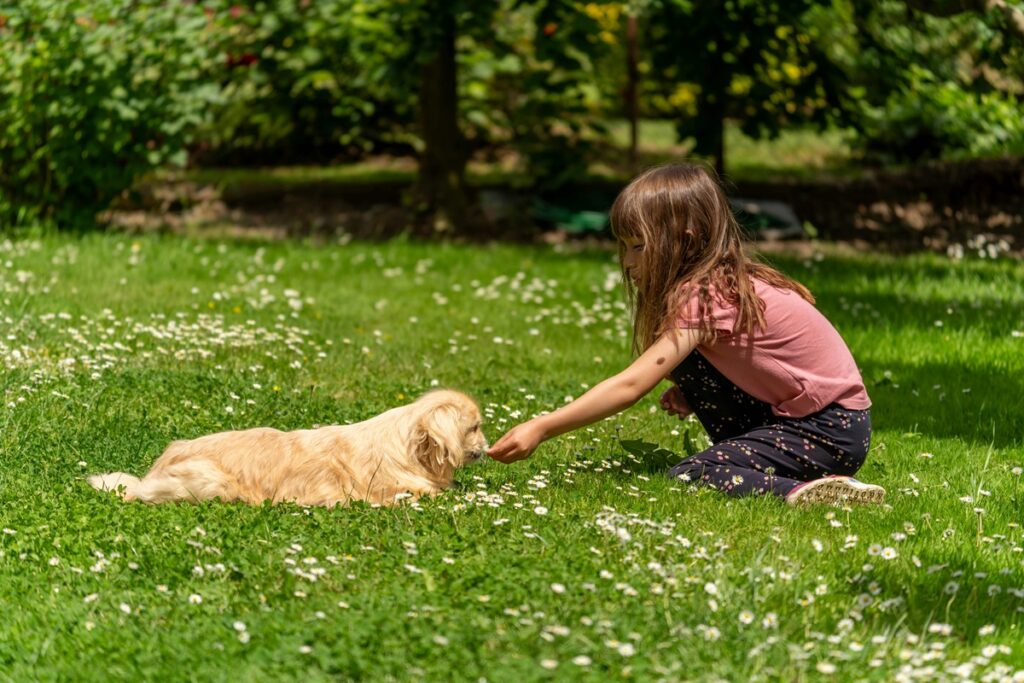 The Best Pets for Kids: A Parent's Guide to Pet Selection