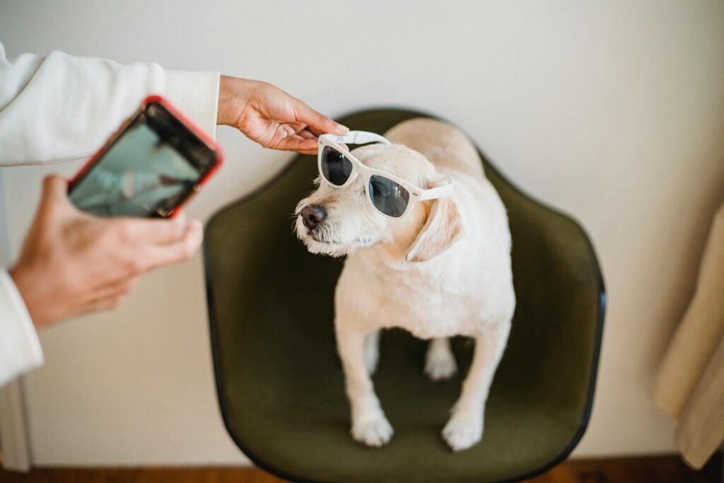 First-Time Pet Ownership