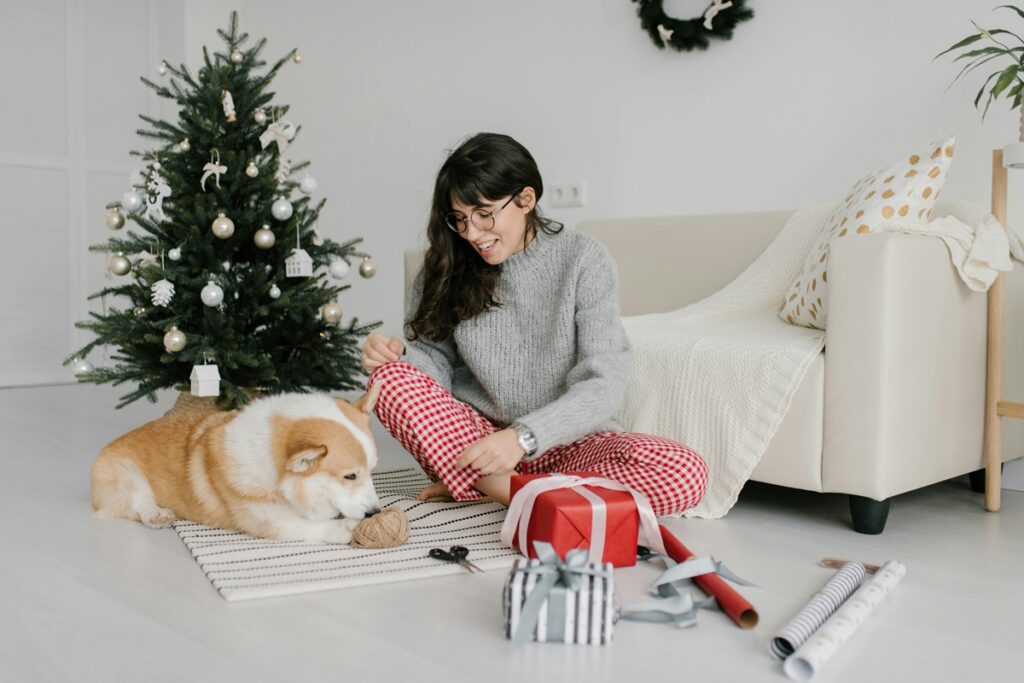 Budget-Friendly Christmas Gifts for Pets: 15 Thoughtful Ideas That Won't Break the Bank (2024)