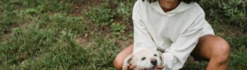 The Ultimate Guide to First-Time Pet Ownership: Everything You Need to Know