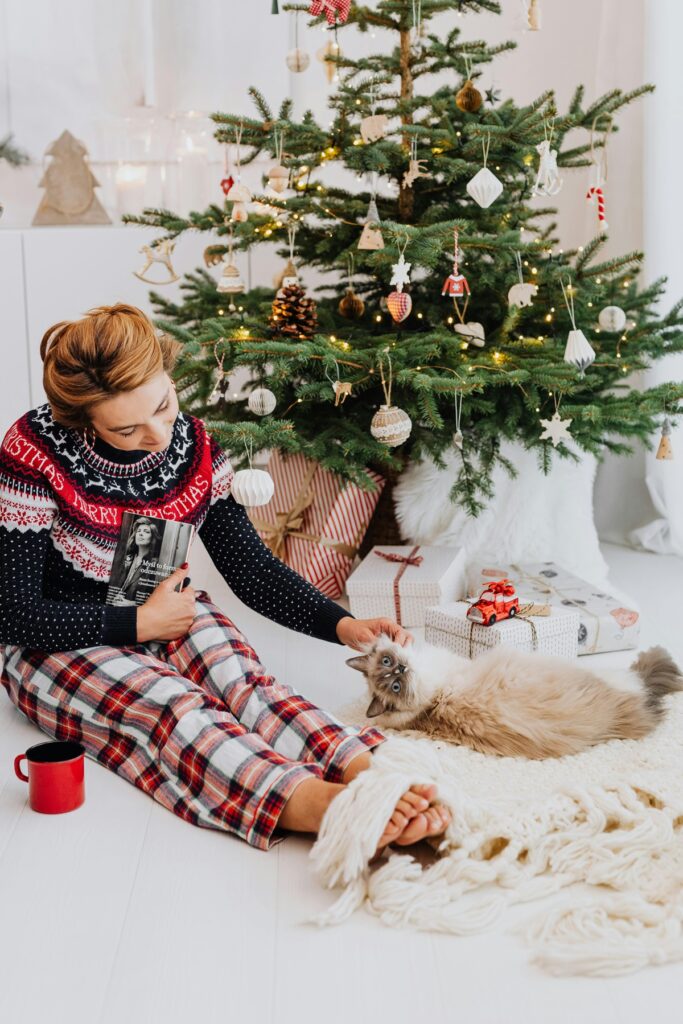 Christmas Decoration Tips for Homes with Cats