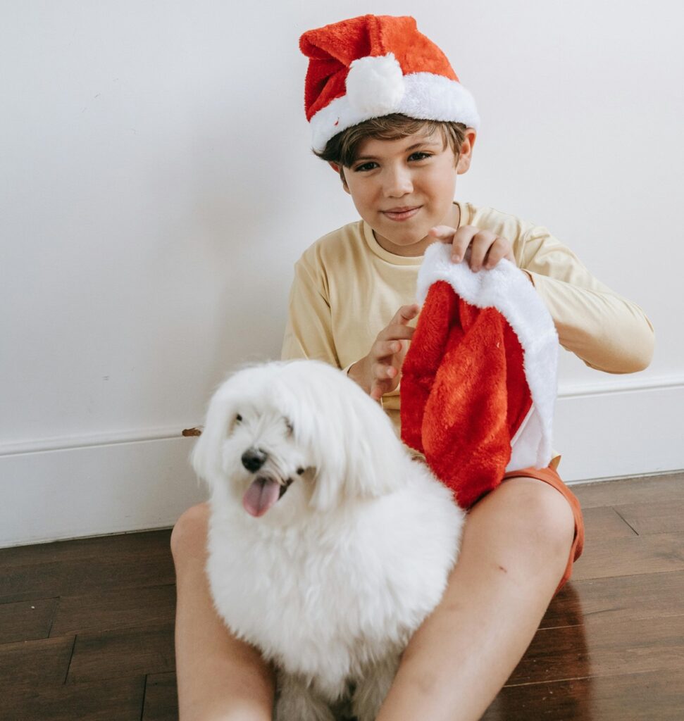 How to Train Your Pet to Wear a Santa Hat: Tips and Tricks