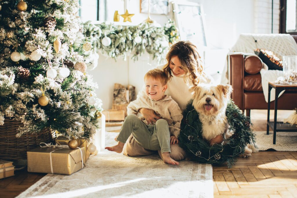 Guide to Setting Up a Pet-Safe Christmas Tree