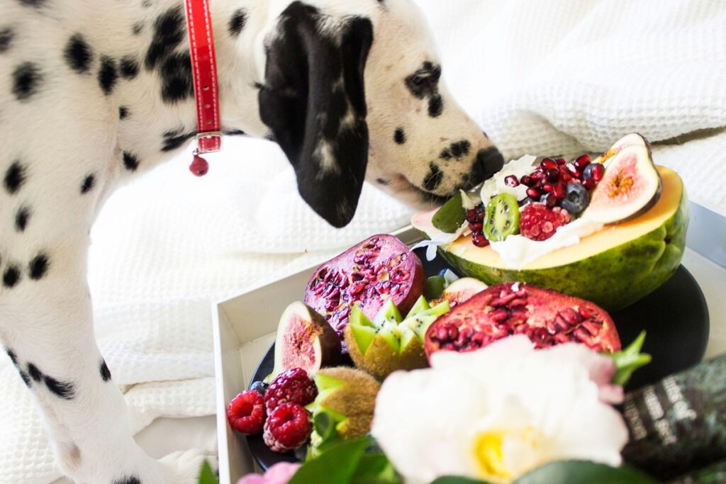 What Christmas Foods Are Safe for Dogs? Your Complete Holiday Feeding Guide for 2024